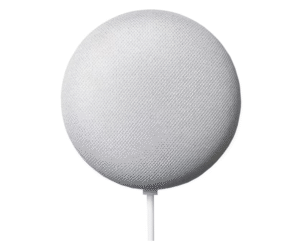 google nest mini white webp